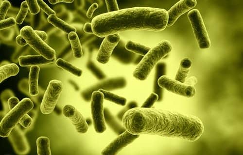 Death Toll in NYC Legionnaires’ Outbreak Rises to 12, Two More Buildings Test Positive for Bacteria