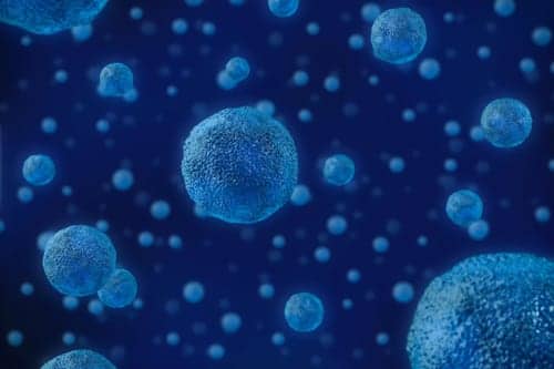 Allergy Amplifier Implicated in Asthma also Intensifies Food Allergy
